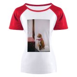 yanfind Women's Sleeve Raglan T Shirt Short Adorable Cat Cute Away Pet Stool
