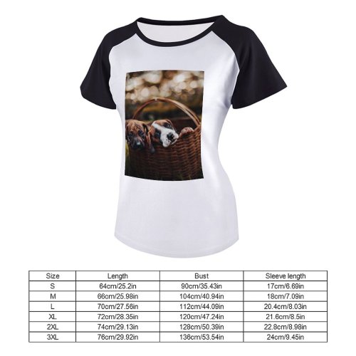 yanfind Women's Sleeve Raglan T Shirt Short Basket Eyes Daylight Focus Fur Grass Little Natural Light Outdoors Puppies Selective