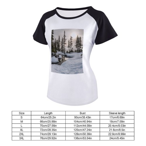 yanfind Women's Sleeve Raglan T Shirt Short Creek Daylight Focus Forest Freeze Frost Frozen Landscape Natural Outdoors