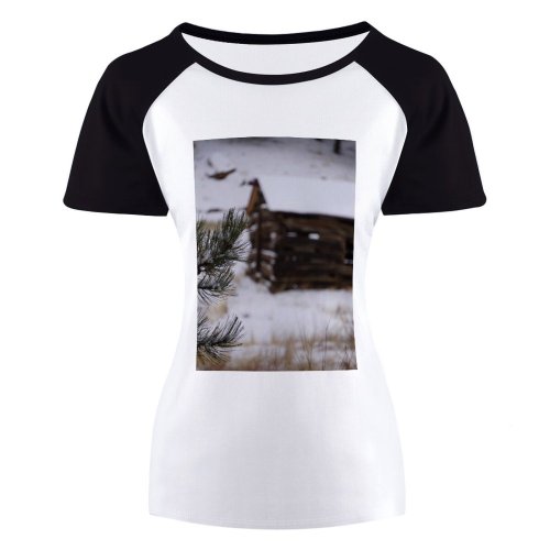 yanfind Women's Sleeve Raglan T Shirt Short Branch Cabin Daytime Focus Frost Frosty Frozen Grass Landscape Light