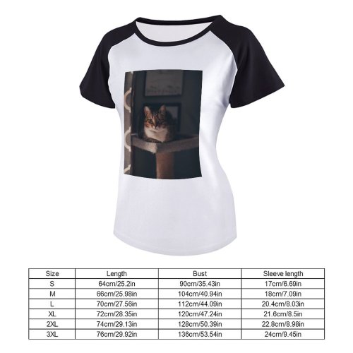 yanfind Women's Sleeve Raglan T Shirt Short Cat Ears Face Cat's Eyes Cats Curtain Focus Fur Furry Kittens Nose