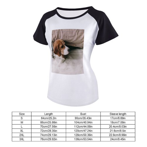 yanfind Women's Sleeve Raglan T Shirt Short Adorable Portrait Beagle Canidae Cute Dog Face Human's Friend Away