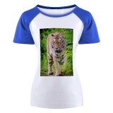 yanfind Women's Sleeve Raglan T Shirt Short Big Cat Biology Carnivore Fangs Felidae Ferocious Fierce Fur Furious Plants Stripes