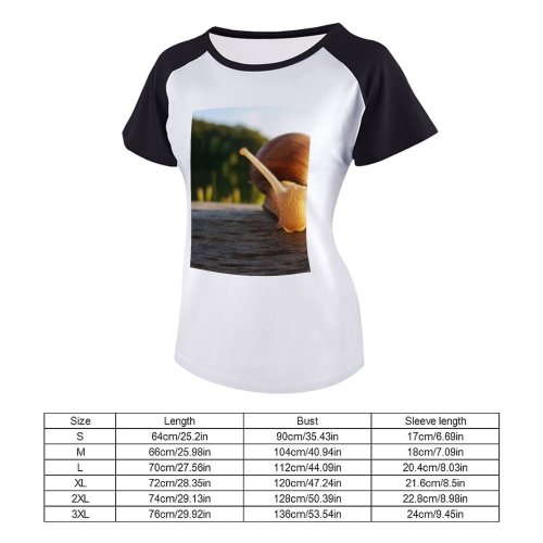 yanfind Women's Sleeve Raglan T Shirt Short Depth Field Focus Invertebrate Outdoors Shell Slimy Slow Snail Wild