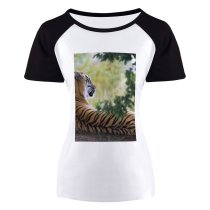 yanfind Women's Sleeve Raglan T Shirt Short Big Carnivore Cat Felidae Fur Grass Leaves Panthera Soil Stripes