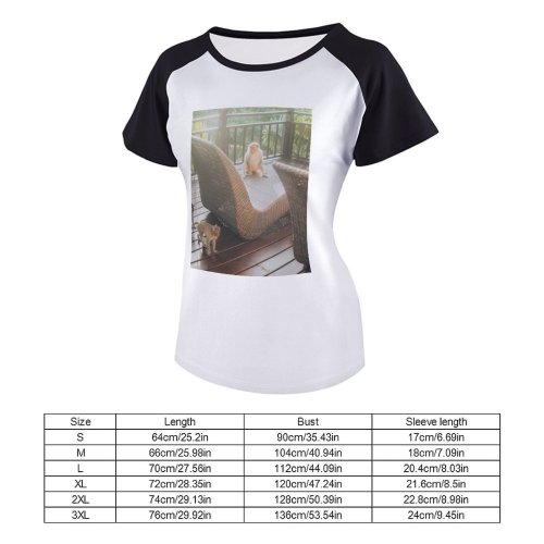yanfind Women's Sleeve Raglan T Shirt Short Balcony Chairs Daylight Fur Furnitures Mammals Monkeys Outdoors Trees Wild Wildlife Wood