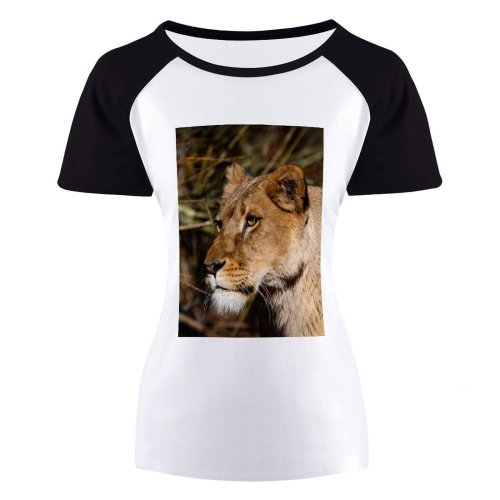 yanfind Women's Sleeve Raglan T Shirt Short Big Cat Carnivore Danger Fur Hunter Lion Lioness Outdoors Panthera