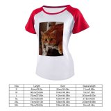 yanfind Women's Sleeve Raglan T Shirt Short Adorable Cat Cuddly Cute Fur Kitten Kitty Little Pet Playful Portrait Whiskers