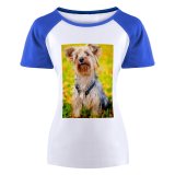 yanfind Women's Sleeve Raglan T Shirt Short Adorable Canidae Cute Dog Hairy Pedigree Pet Yorkie Yorkshire