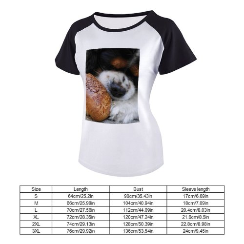 yanfind Women's Sleeve Raglan T Shirt Short Cute Daytime Dog Eyes Fur Hungry Little Outdoors Pavement Pet Puppy Sesame