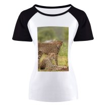 yanfind Women's Sleeve Raglan T Shirt Short Big Cat Carnivore Cheetahs Danger Dangerous Daylight Eyes Fur Grass Grassland Hunter
