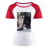 yanfind Women's Sleeve Raglan T Shirt Short Cats Cute Fur Furry Kittens Kitties Sit
