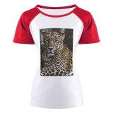 yanfind Women's Sleeve Raglan T Shirt Short Big Cat Cheetah Dangerous Ferocious Leopard Wild Wildlife
