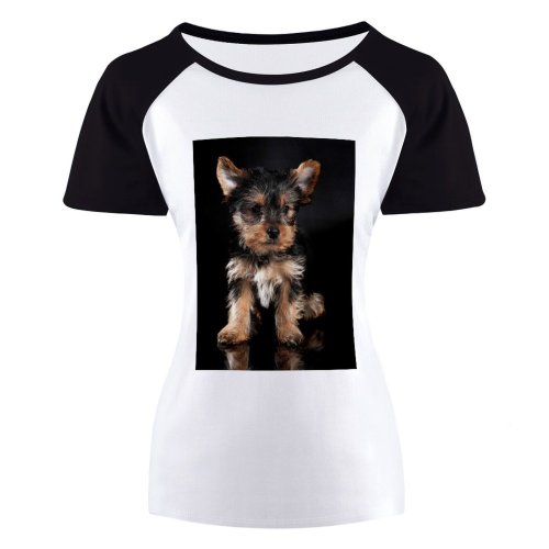 yanfind Women's Sleeve Raglan T Shirt Short Adorable Cute Dog Pet Puppy Sit Yorkshire