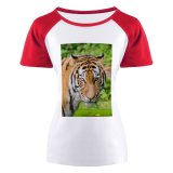 yanfind Women's Sleeve Raglan T Shirt Short Big Carnivore Cat Felidae Fur Plants Stripes Tigris Whiskers Wild
