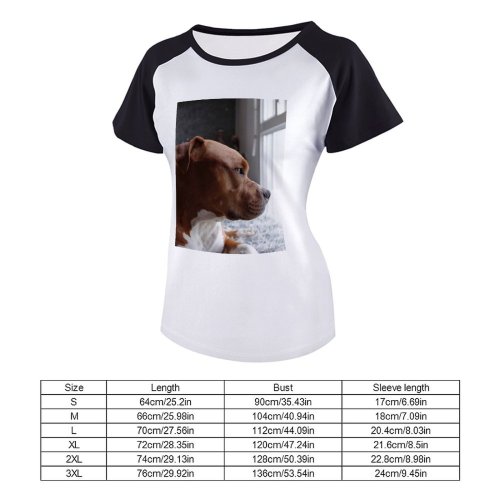 yanfind Women's Sleeve Raglan T Shirt Short Cute Daylight Dog Pet Pitbull Puppy Sit Window