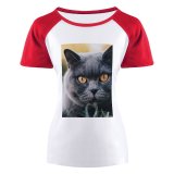 yanfind Women's Sleeve Raglan T Shirt Short Adorable British Shorthair Cat Cute Fur Kitten Kitty Little Pet