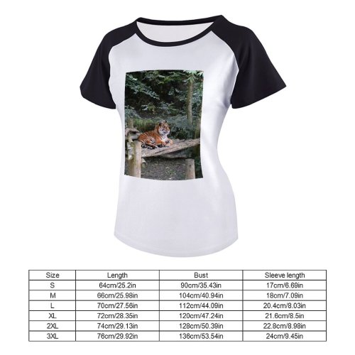 yanfind Women's Sleeve Raglan T Shirt Short Big Cat Fur Jungle Outdoors Park Stripes Trees Wild Wildlife