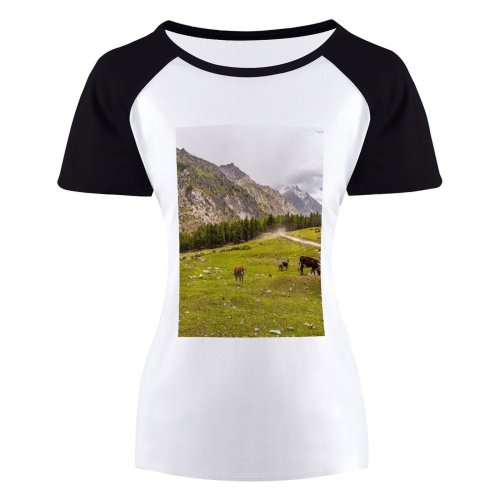 yanfind Women's Sleeve Raglan T Shirt Short Countryside Cow Gilgit Grass Grassland Landscape Outdoors Pakistan Rural