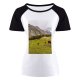 yanfind Women's Sleeve Raglan T Shirt Short Countryside Cow Gilgit Grass Grassland Landscape Outdoors Pakistan Rural