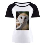 yanfind Women's Sleeve Raglan T Shirt Short Barn Bird Macro Wildlife