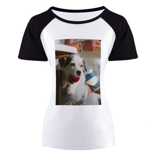 yanfind Women's Sleeve Raglan T Shirt Short Ball Colorful Colourful Cute Daylight Dog Outdoors Pet Portrait Puppy Sit