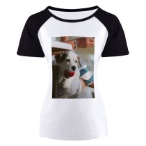 yanfind Women's Sleeve Raglan T Shirt Short Ball Colorful Colourful Cute Daylight Dog Outdoors Pet Portrait Puppy Sit
