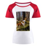 yanfind Women's Sleeve Raglan T Shirt Short Cute Daylight Dog Fall Focus Fur Grass Landscape Outdoors Park Pet Trees