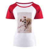 yanfind Women's Sleeve Raglan T Shirt Short Adorable Portrait Baby Canidae Carpet Cute Dog Face Eyes Human's