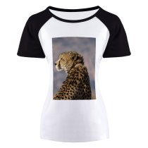 yanfind Women's Sleeve Raglan T Shirt Short Big Cat Carnivore Cheetah Daytime Dots Endangered Species Fur Grass Hunter Outdoors