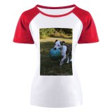yanfind Women's Sleeve Raglan T Shirt Short Ball Daytime Dog Field Fur Grass Mouth Outdoors Outside Pet Playing Soccer
