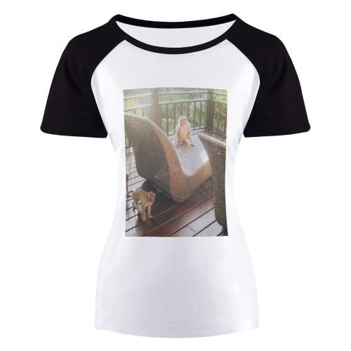yanfind Women's Sleeve Raglan T Shirt Short Balcony Chairs Daylight Fur Furnitures Mammals Monkeys Outdoors Trees Wild Wildlife Wood