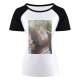 yanfind Women's Sleeve Raglan T Shirt Short Balcony Chairs Daylight Fur Furnitures Mammals Monkeys Outdoors Trees Wild Wildlife Wood