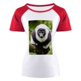 yanfind Women's Sleeve Raglan T Shirt Short Endangered Eyes Focus Fur Furry Lemur Outdoors Primate Tree Branch Wild
