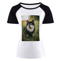yanfind Women's Sleeve Raglan T Shirt Short Cute Dog Finnish Lapphund Grass Little Pet