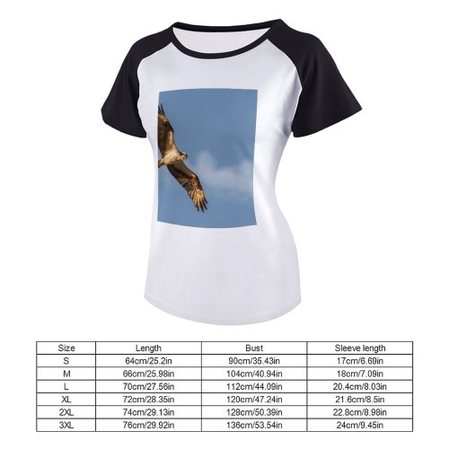 yanfind Women's Sleeve Raglan T Shirt Short Bald Eagle Bird Falconry Flight Freedom Hawk Outdoors Prey