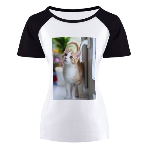 yanfind Women's Sleeve Raglan T Shirt Short Cat Face Cat's Eyes Door Handle Focus Fur Furry Kitten Little Nose