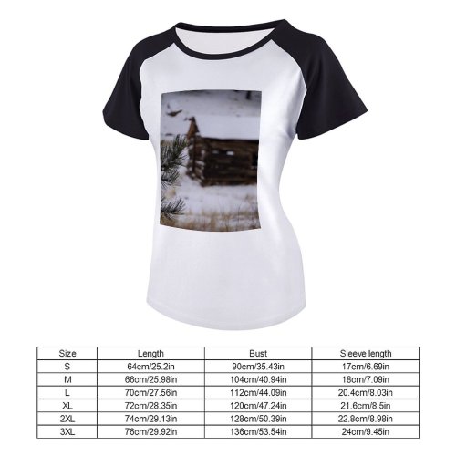 yanfind Women's Sleeve Raglan T Shirt Short Branch Cabin Daytime Focus Frost Frosty Frozen Grass Landscape Light