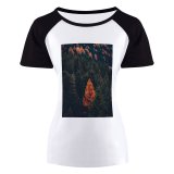 yanfind Women's Sleeve Raglan T Shirt Short Autumn Conifers Evergreen Fall Fir Trees Foliage Forest Idyllic Landscape Leaves