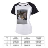 yanfind Women's Sleeve Raglan T Shirt Short Cat Face Cat's Eyes Focus Fur Furry Nose Pet Sleeping Sleepy Whiskers