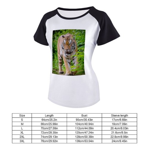 yanfind Women's Sleeve Raglan T Shirt Short Big Cat Biology Carnivore Fangs Felidae Ferocious Fierce Fur Furious Plants Stripes