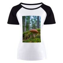 yanfind Women's Sleeve Raglan T Shirt Short Boletus Fungus Macro Mushroom Outdoors Toadstool