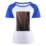 yanfind Women's Sleeve Raglan T Shirt Short Architectural Design Architecture Building Concrete Contemporary Daylight Daytime Exterior Futuristic Glass Items_
