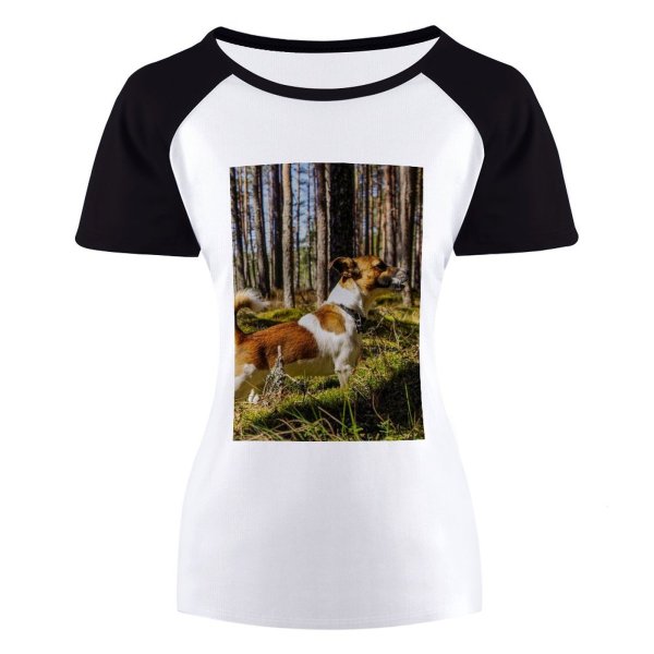 yanfind Women's Sleeve Raglan T Shirt Short Cute Daylight Dog Fall Focus Fur Grass Landscape Outdoors Park Pet Trees