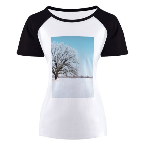 yanfind Women's Sleeve Raglan T Shirt Short Branches Daylight Daytime Freezing Frosty Frozen Landscape Oak Outdoors Season Snow