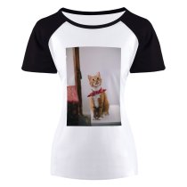 yanfind Women's Sleeve Raglan T Shirt Short Adorable Cat Cats Cute Kitten Kitty Pet Tabby