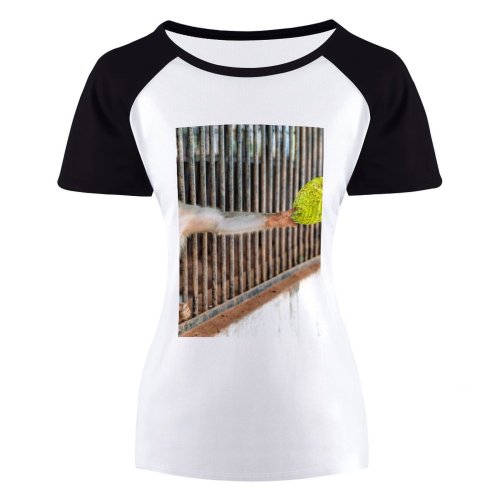 yanfind Women's Sleeve Raglan T Shirt Short Bars Cage Leaf Monkey Primate Wild Wildlife