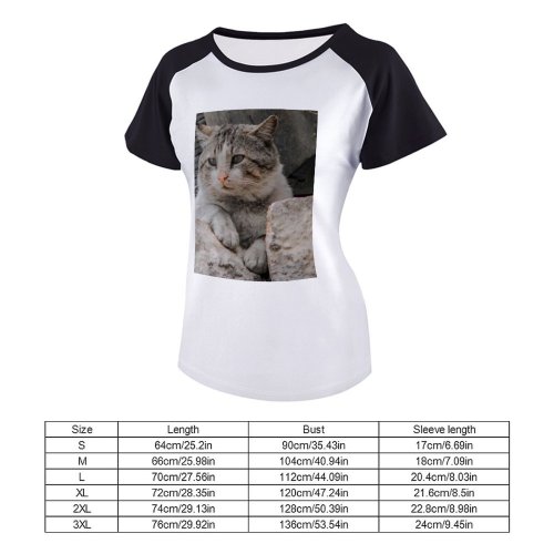 yanfind Women's Sleeve Raglan T Shirt Short Cat Face Cat's Eyes Daylight Focus Fur Furry Nose Pet Rocks Staring