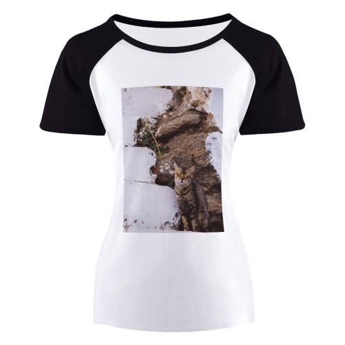 yanfind Women's Sleeve Raglan T Shirt Short Cat Kitten Pet _