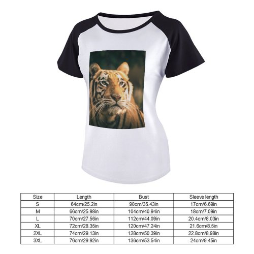 yanfind Women's Sleeve Raglan T Shirt Short Big Cat Carnivore Eyes Felidae Fur Gaze Hunter Jungle Outdoors Portrait